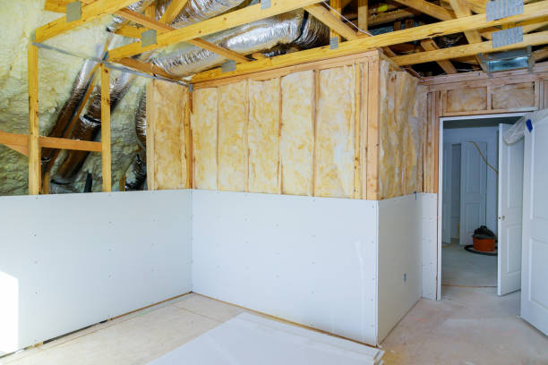 Best Blown-in Insulation  in Chevy Chase View, MD