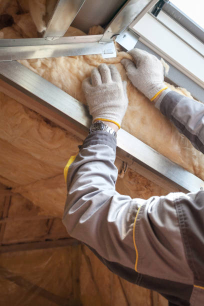 Best Spray Foam Insulation  in Chevy Chase View, MD
