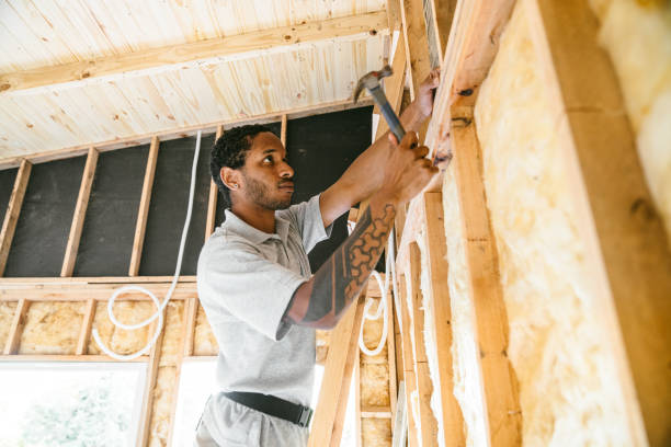 Best Insulation for New Construction  in Chevy Chase View, MD