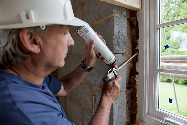 Best Insulation Repair Services  in Chevy Chase View, MD